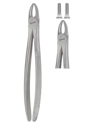 Tooth Forceps for Children 