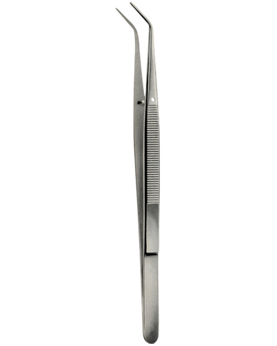 Tooth Tweezers  