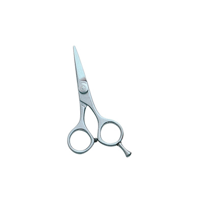 Barber and Dressing Scissor.