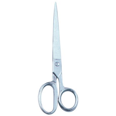 Taylor Scissor.