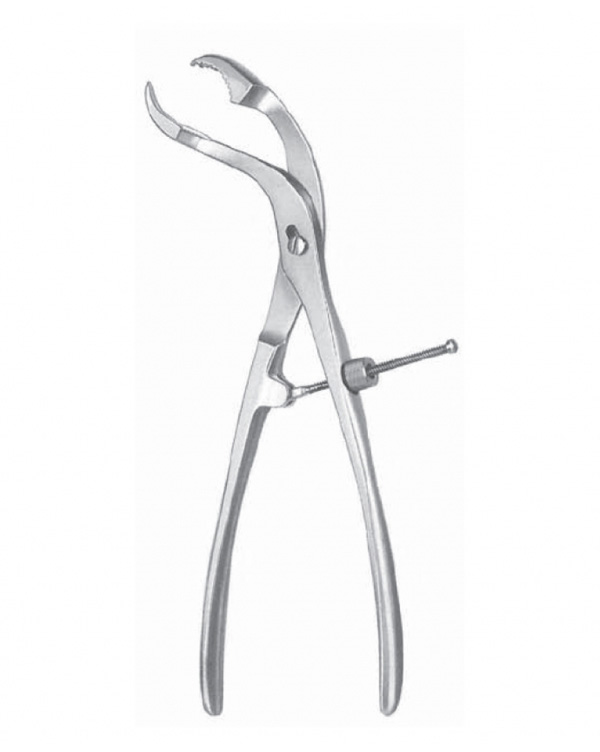 VERBRUGGE-Self-Centering-bone