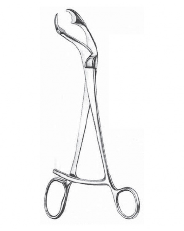 VERBRUGGE Bone Holding Forceps